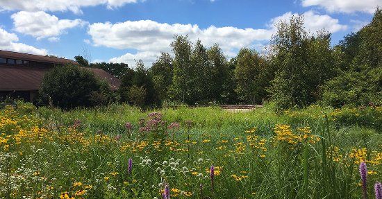 University of Wisconsin-Madison Arboretum